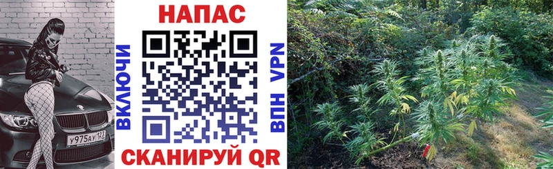 Магазин наркотиков Переславль-Залесский ГАШ Конопля A-PVP Меф мяу мяу