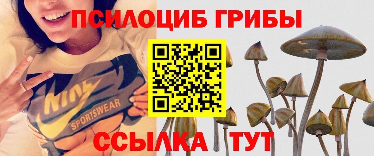 Псилоцибиновые грибы мицелий Переславль-Залесский